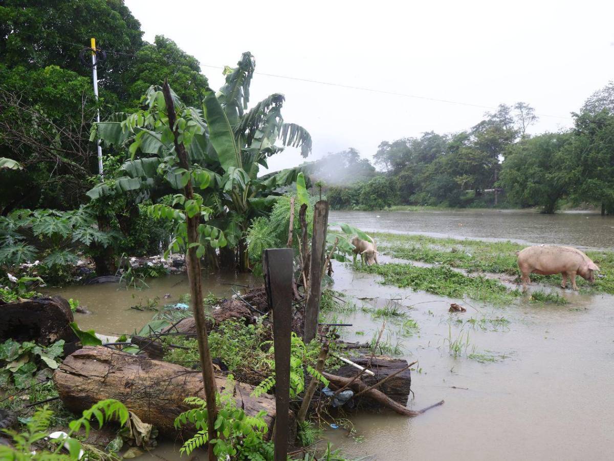 San Pedro Sula enfrenta afectaciones y riesgo de deslizamientos por lluvias