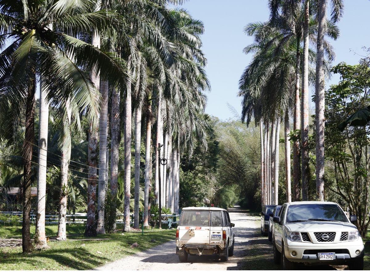 Crece la oferta turística en Tela previo a Semana Santa