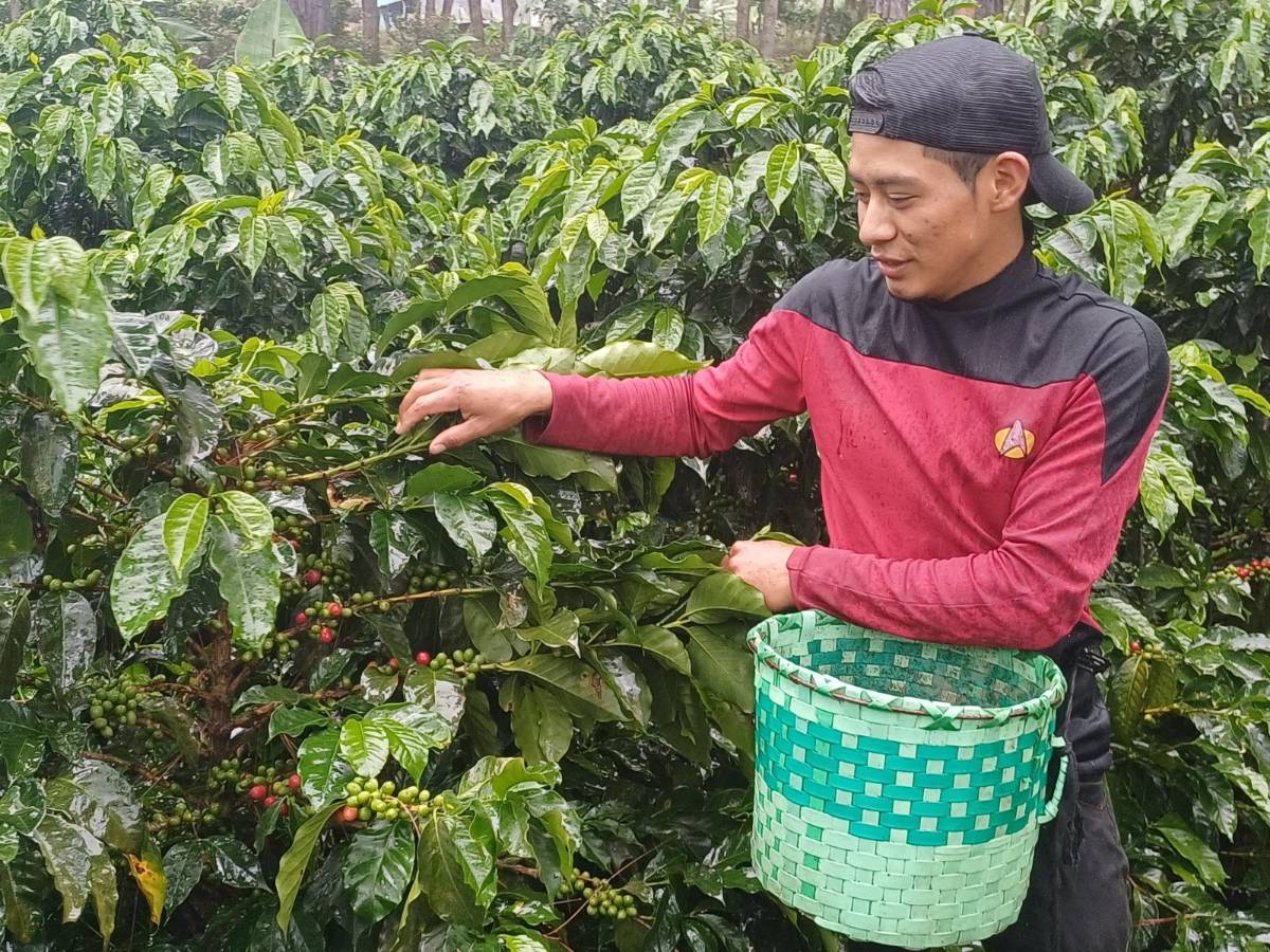 Negociación de TLC chino impulsa las exportaciones