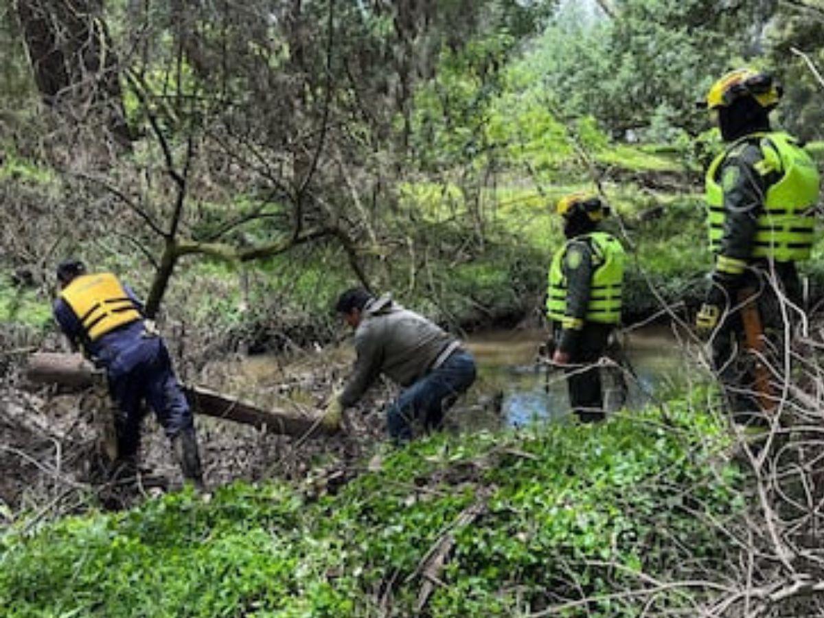 Revelan escalofriante hipótesis sobre la triste muerte de Valeria Afanador