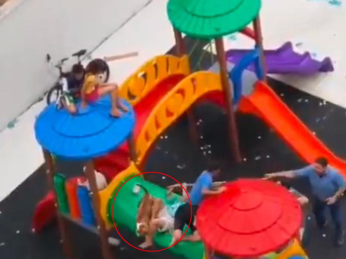 Testigos del accidente revelaron que los perros llegaron de la nada.