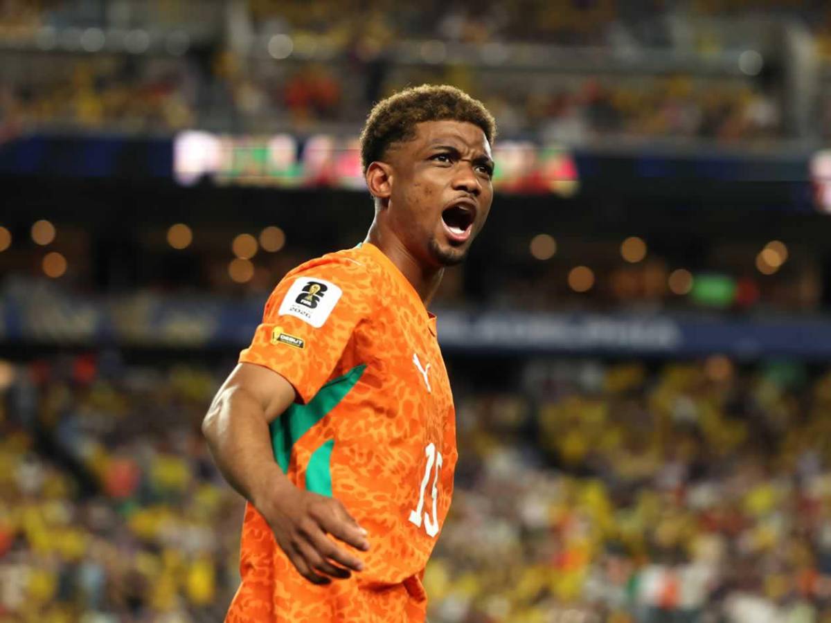 Héroe de Costa de Marfil, tristeza de Ecuador y afición, de la fiesta al drama en el Mundial