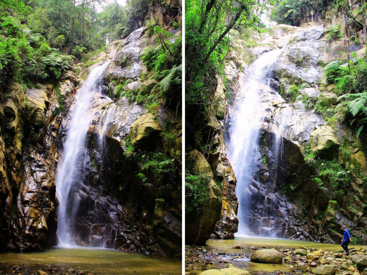 De bosques nublados a playas vírgenes: así de bellos son estos cinco parques nacionales