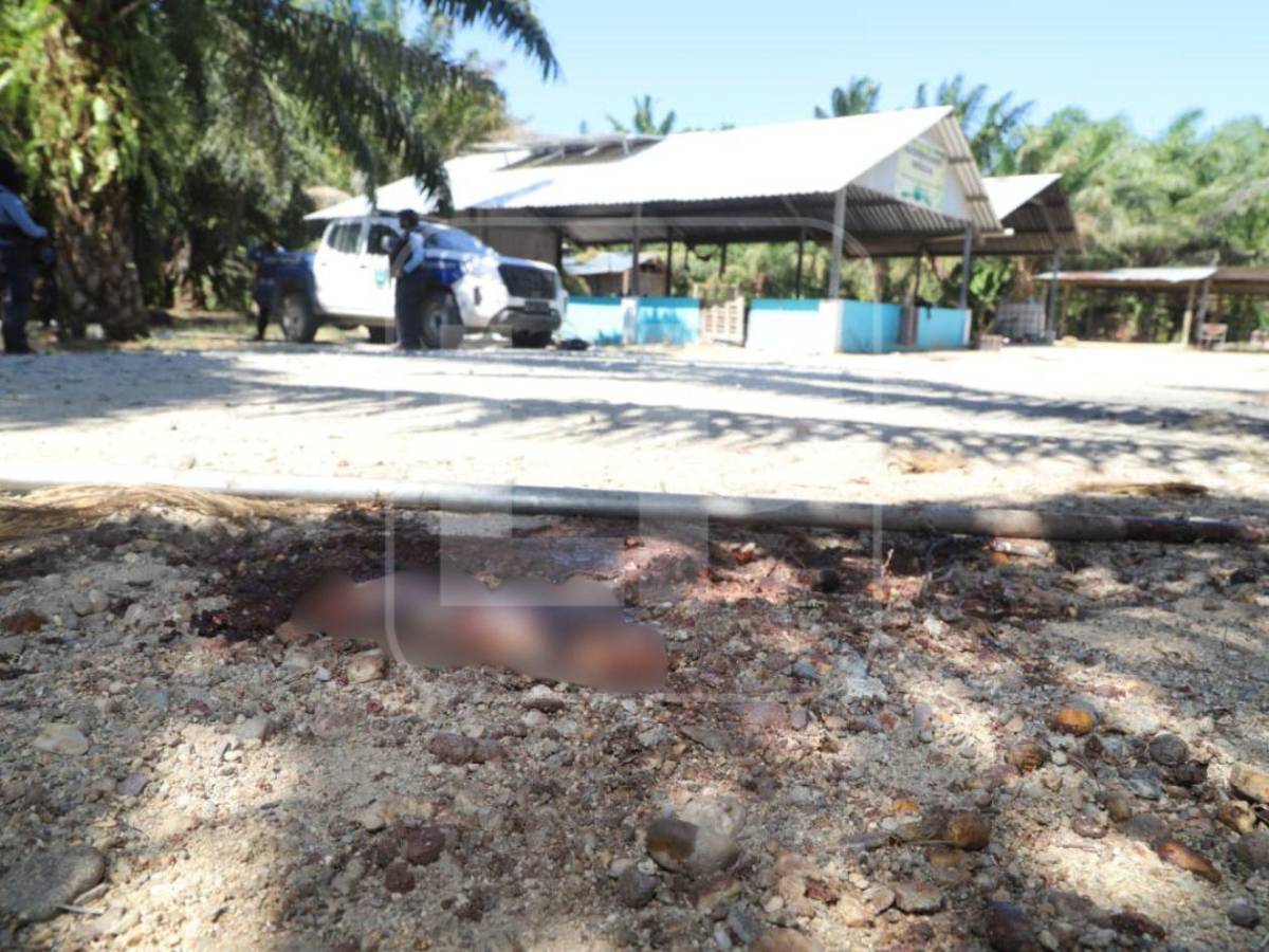 Matanza en la finca Paso Aguán: exclusivas fotos de la escena del crimen