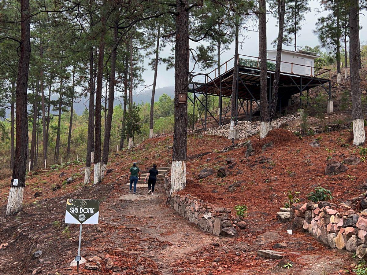 Domos temáticos y chalet de lujo ofrece Tiny Pines