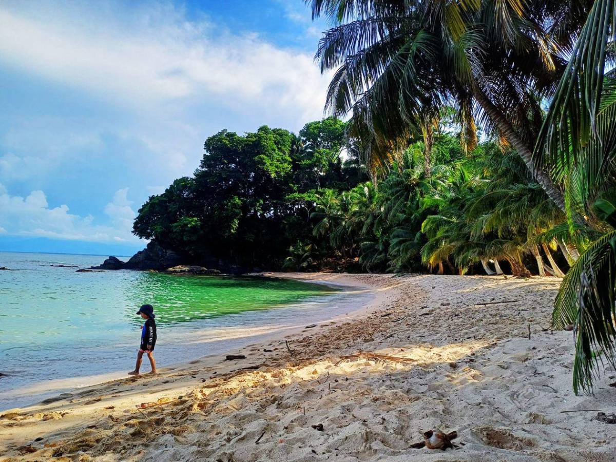De bosques nublados a playas vírgenes: así de bellos son estos cinco parques nacionales