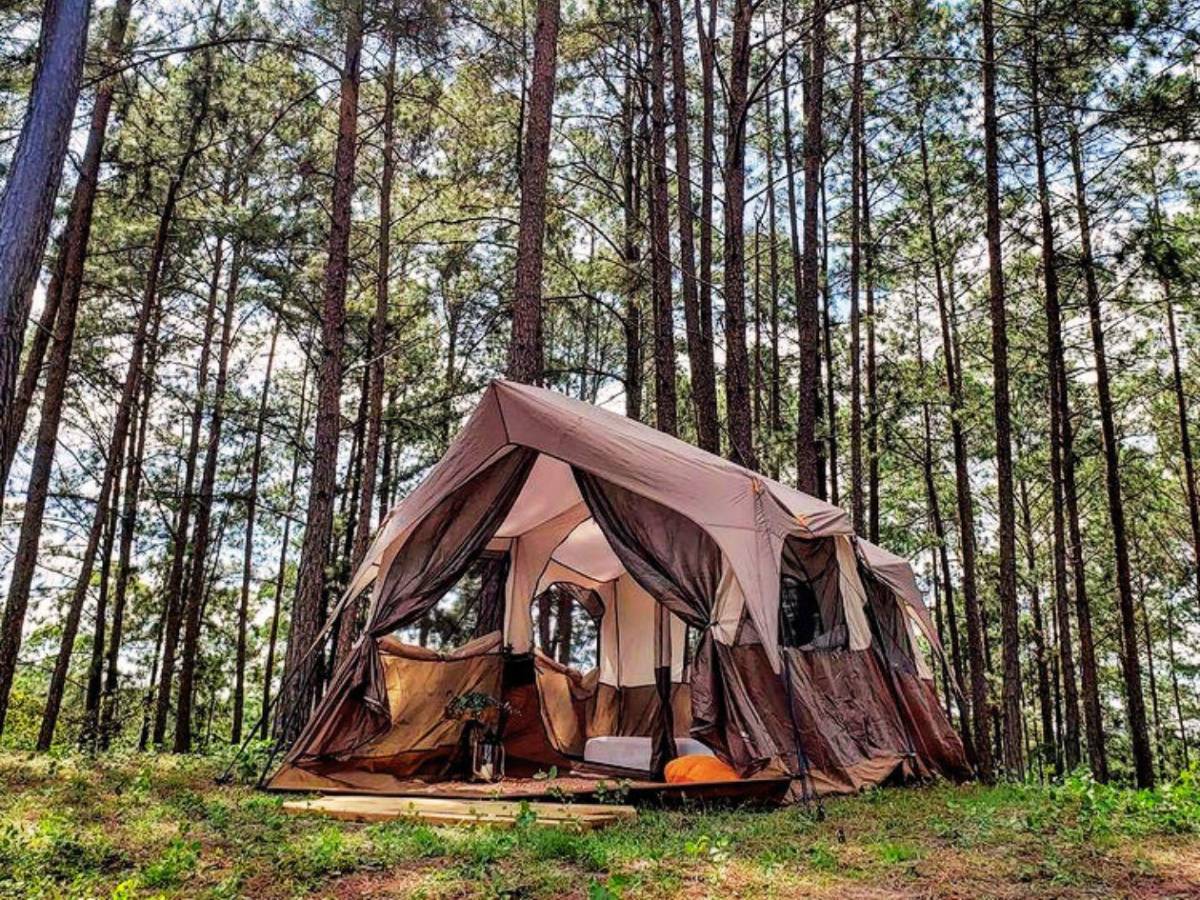 De bosques nublados a playas vírgenes: así de bellos son estos cinco parques nacionales