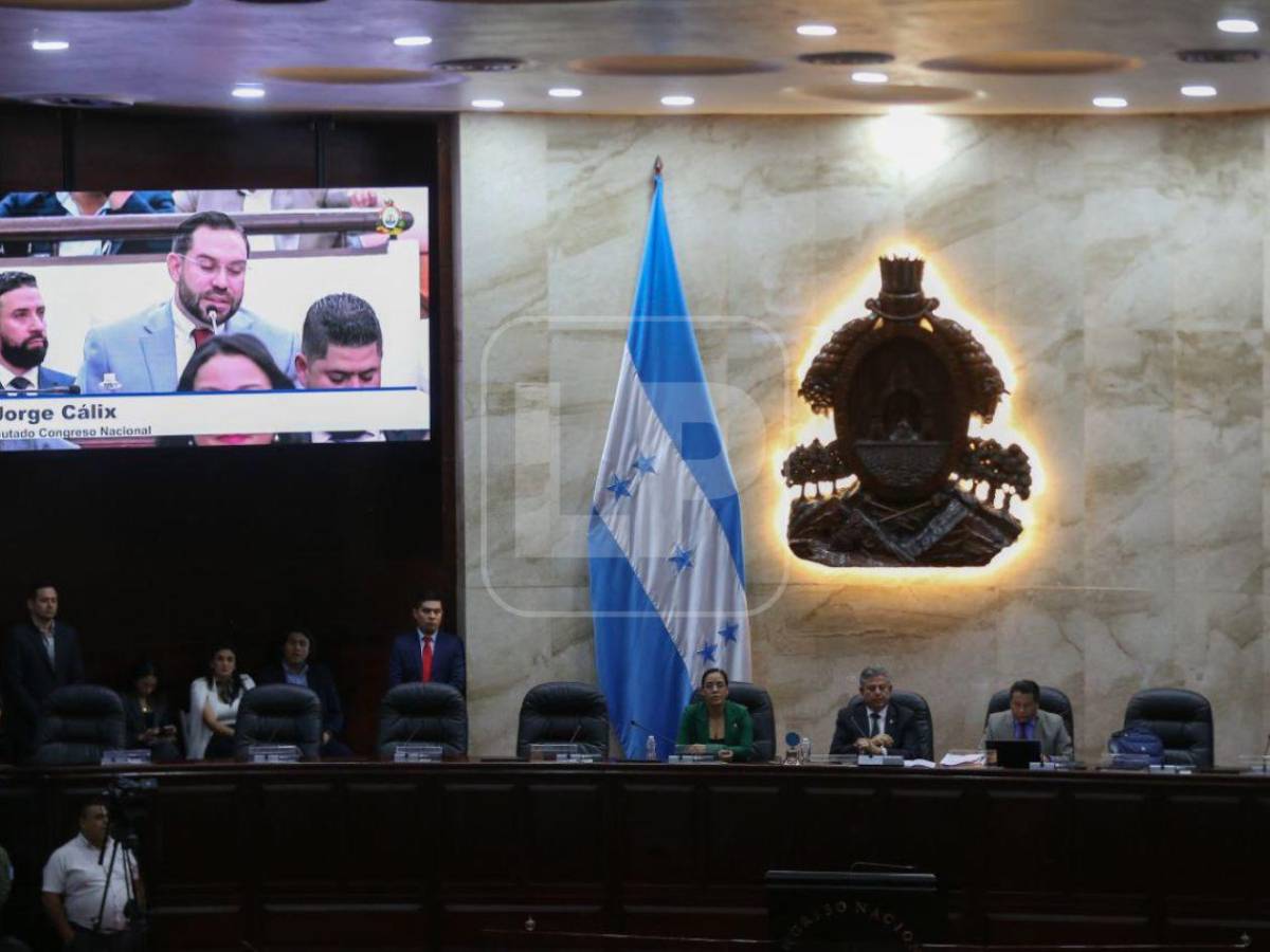 Lo que no se vio de la elección de la Junta Directiva provisional