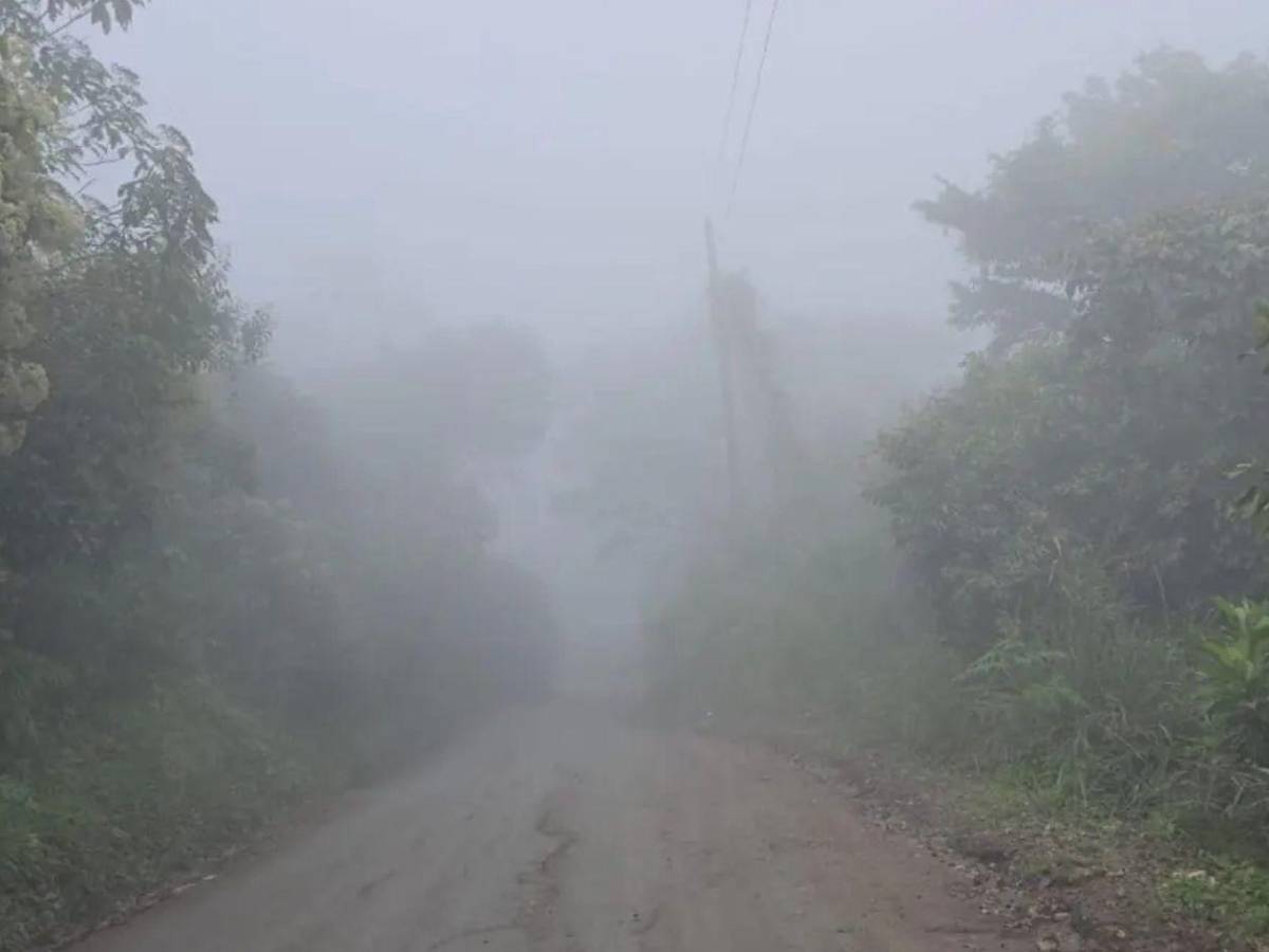 ¿Qué es el vórtice polar que causa frío intenso en Honduras, Centroamérica y EEUU?