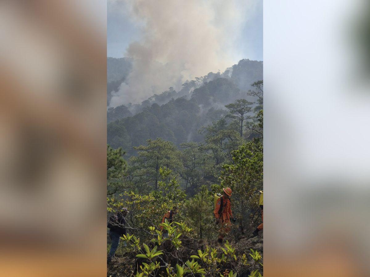 Fotos estremecedoras: estragos y pérdidas causadas por los feroces incendios en El Salvador