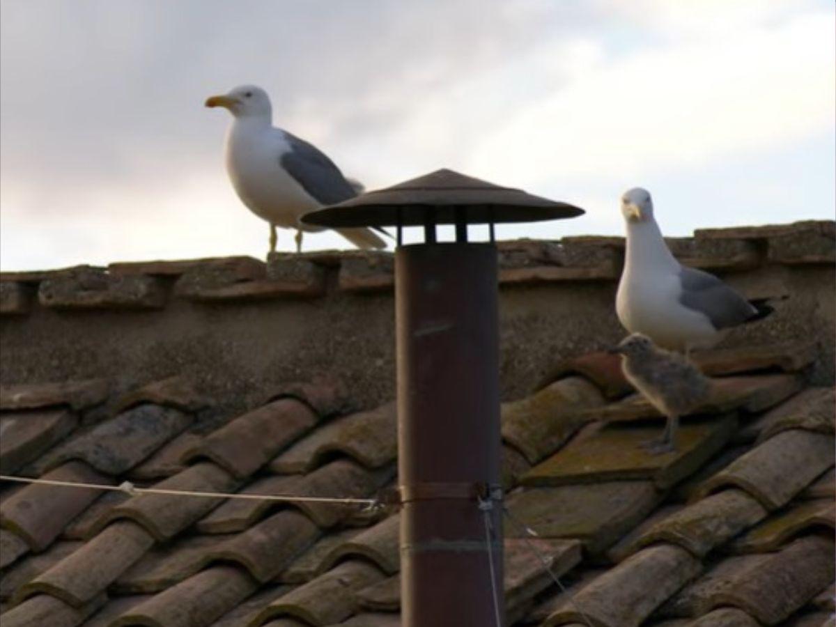 Así viven los feligreses la espera de la primera fumata del cónclave