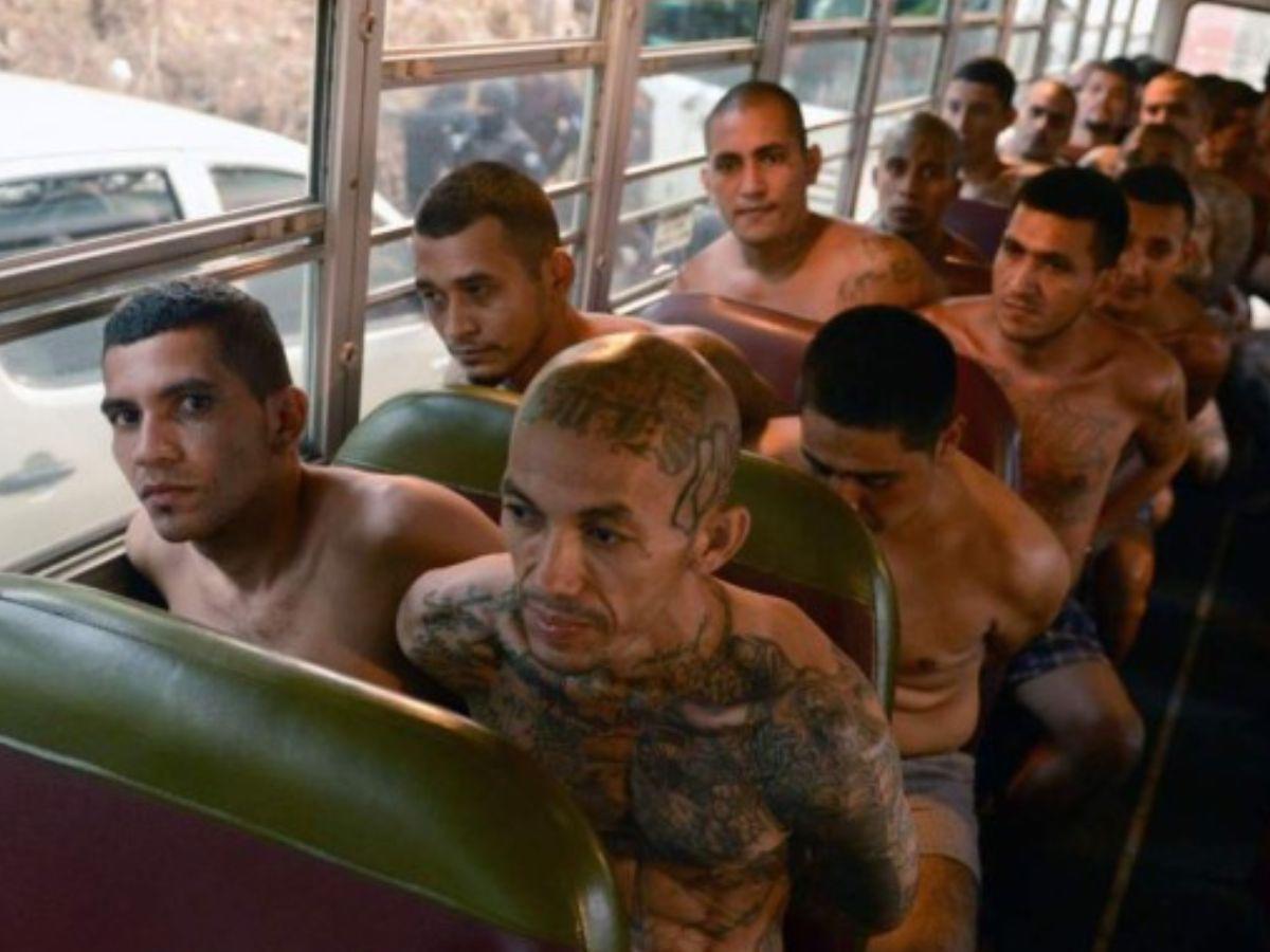 Ataque de pandilla dejó sin brazos a joven salvadoreña; Bukele se convierte en su ángel guardián