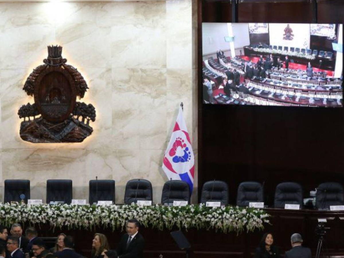 ¿Por qué hay una bandera blanca en el Congreso? Tomás Zambrano explica