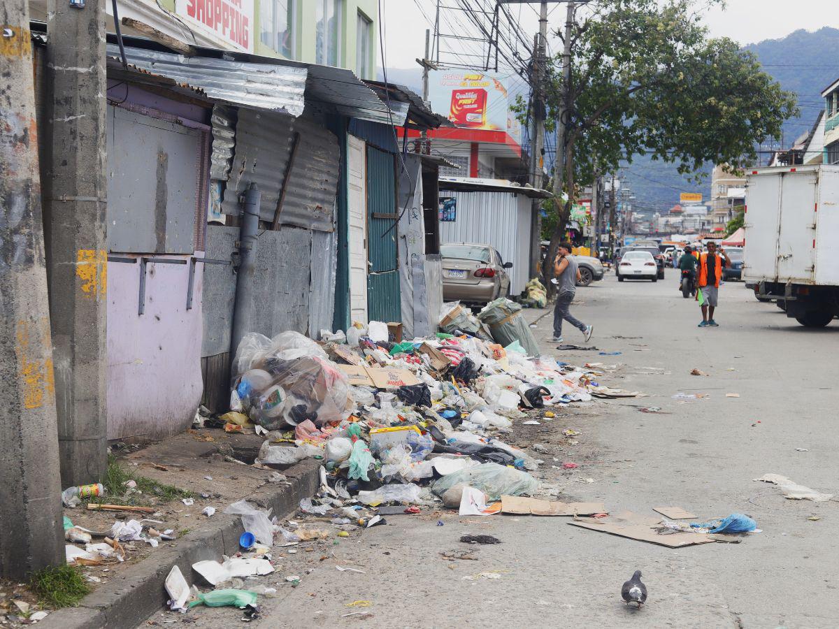 San Pedro Sula a las puertas de una emergencia ambiental por cantidad de basura en las calles