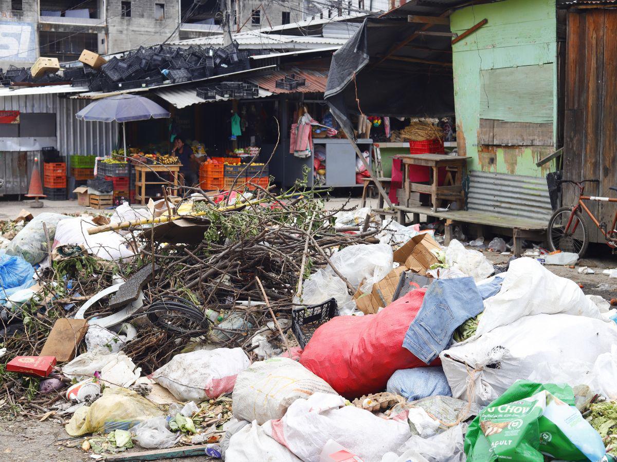 San Pedro Sula a las puertas de una emergencia ambiental por cantidad de basura en las calles