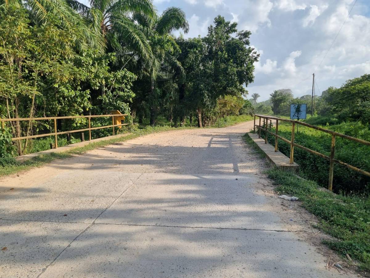 Luego de protestas y caminata pavimentarán acceso al municipio de Esparta