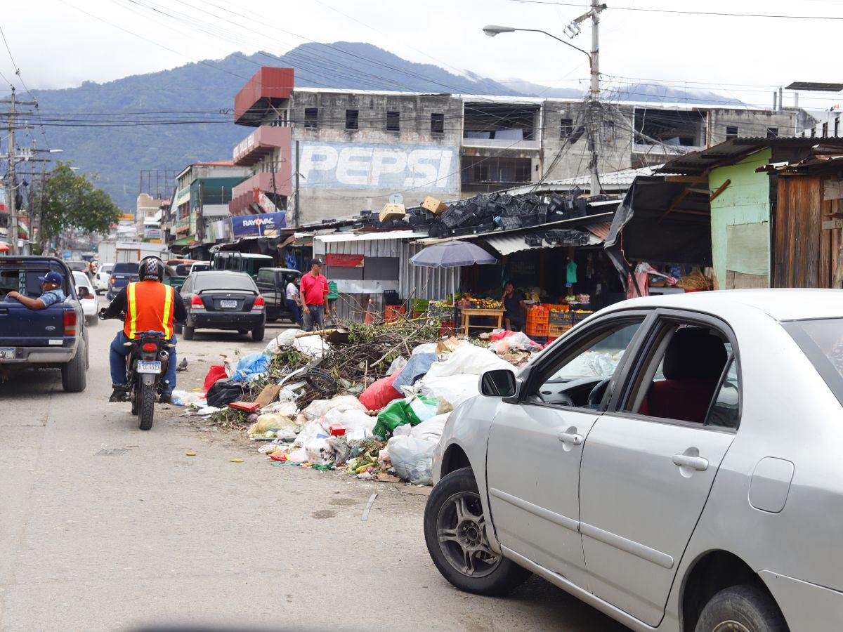 San Pedro Sula a las puertas de una emergencia ambiental por cantidad de basura en las calles