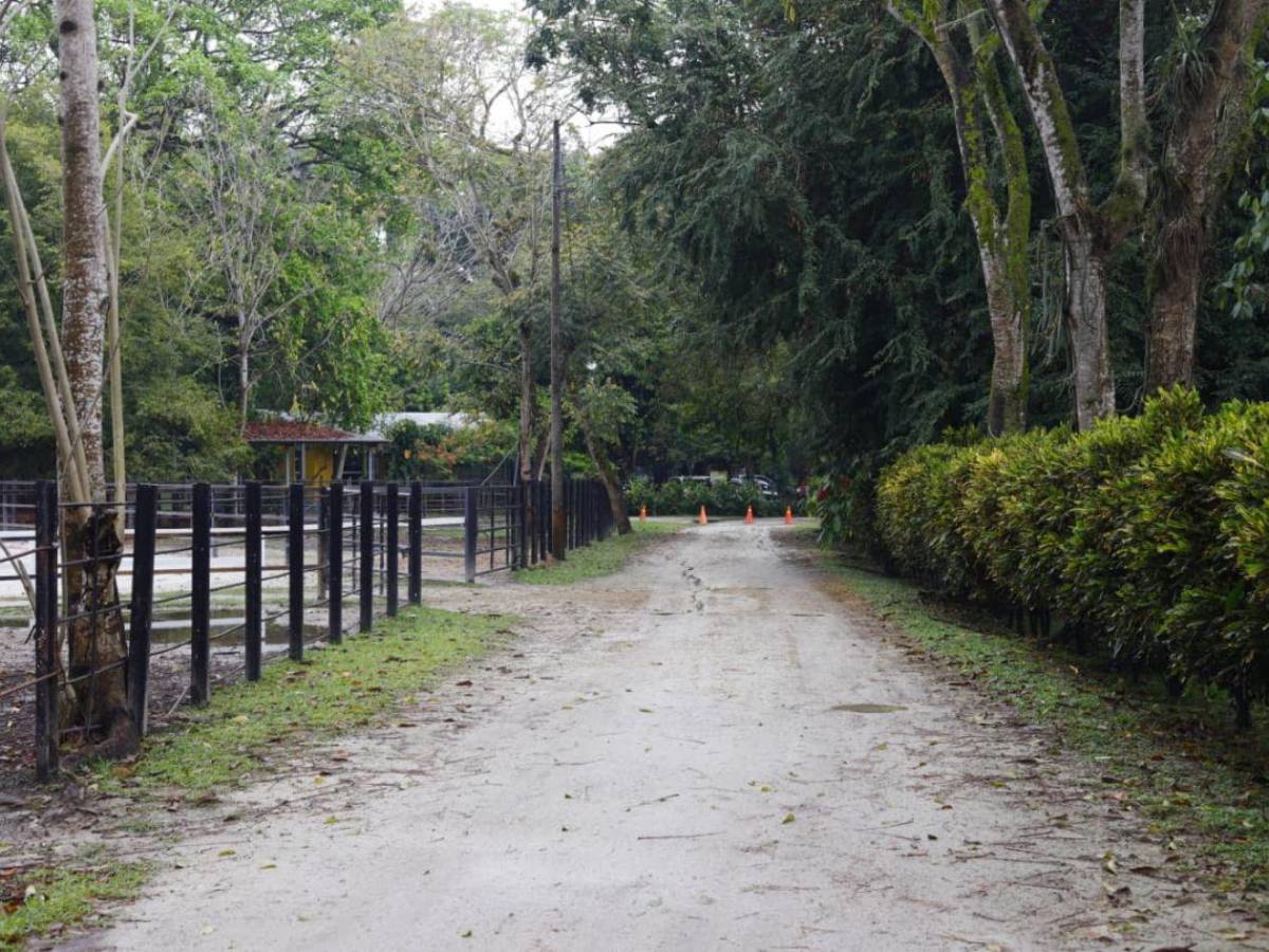 San Pedro Sula tiene su primera Reserva Natural Perpetua