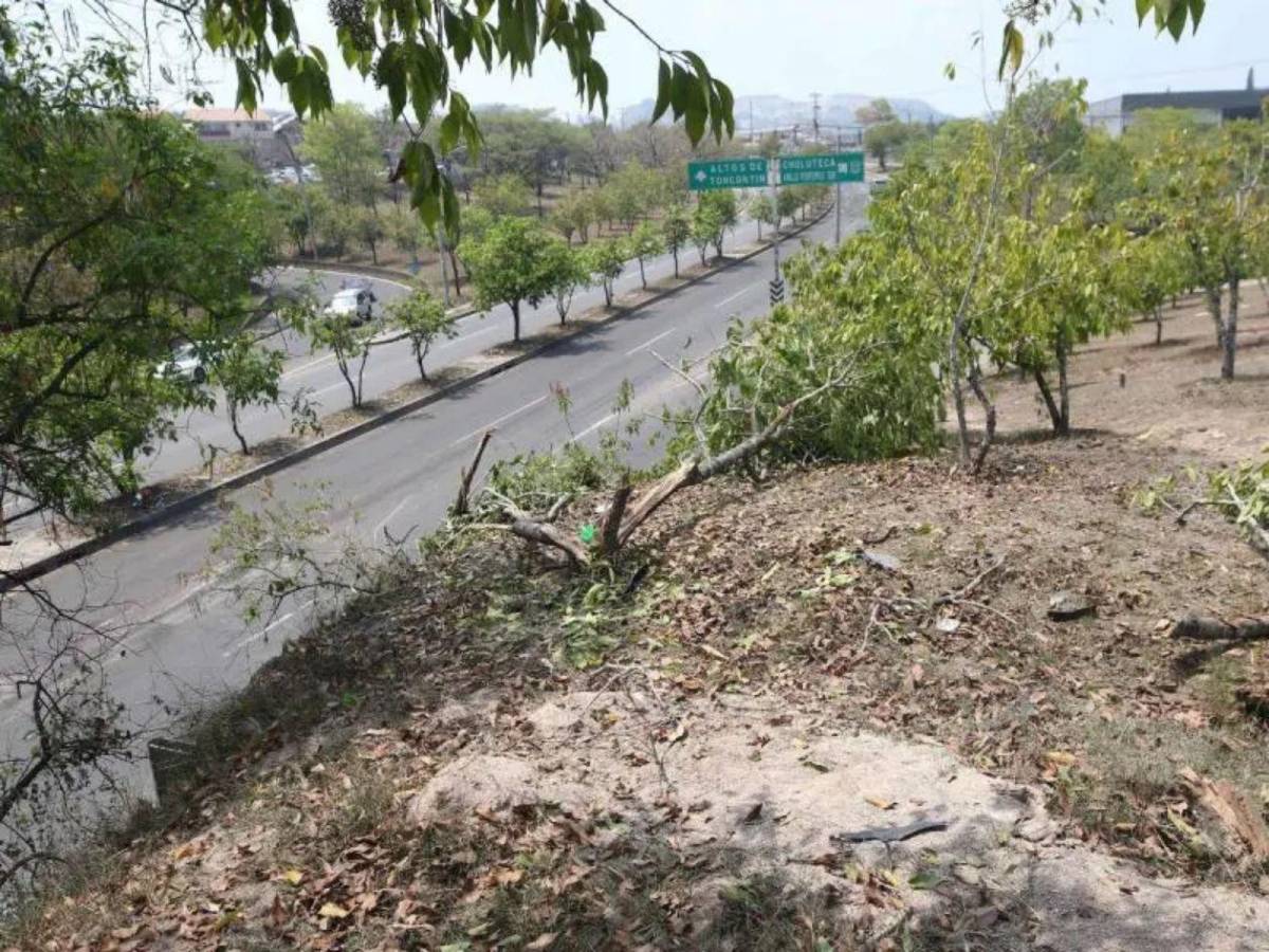 Tránsito revela nuevos detalles sobre accidente en Altos de Toncontín