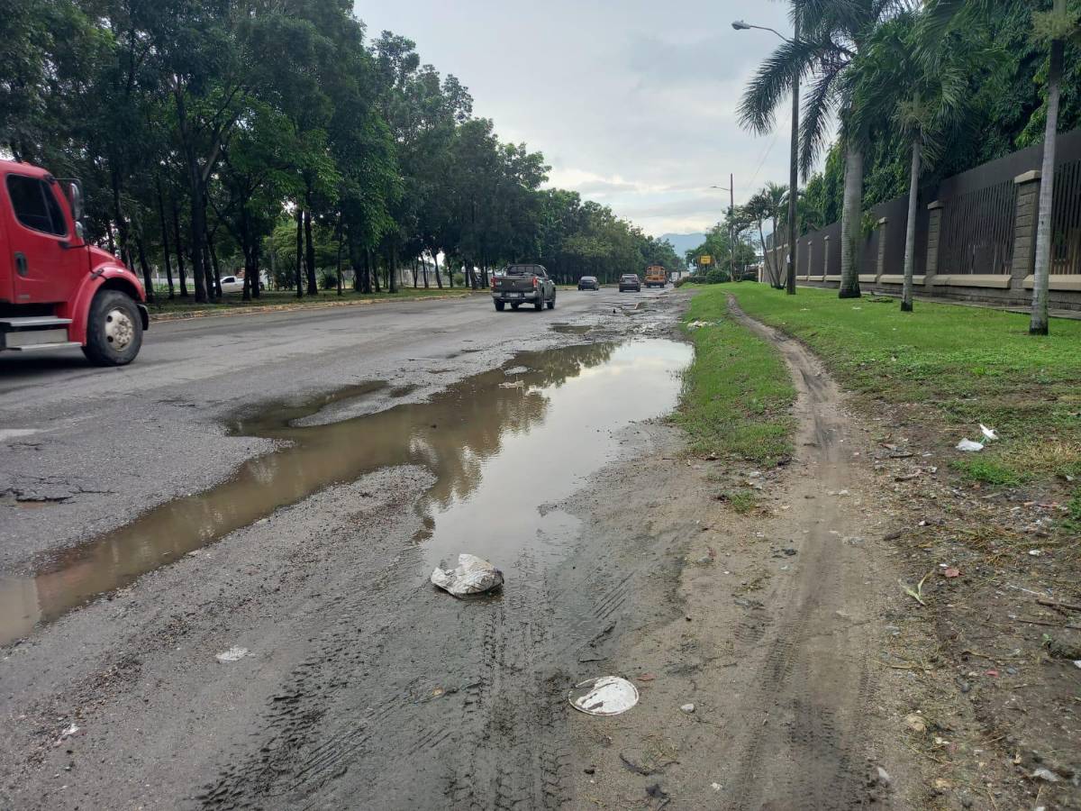 Con llantas y ramas alertan de baches en el segundo anillo de SPS