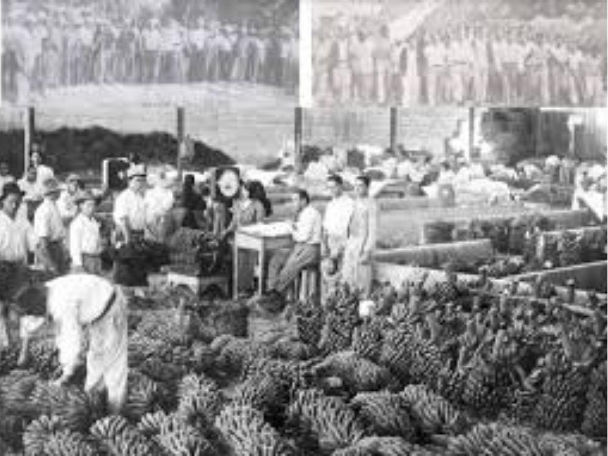 ¿Por qué se conmemora el Día del Trabajo? Origen y significado del 1 de mayo