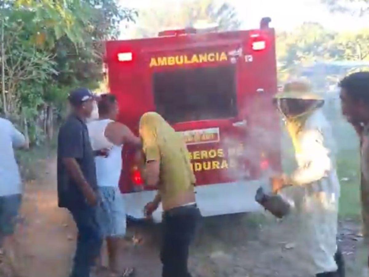 Hombre muere tras ser atacado por un enjambre de abejas en Choluteca