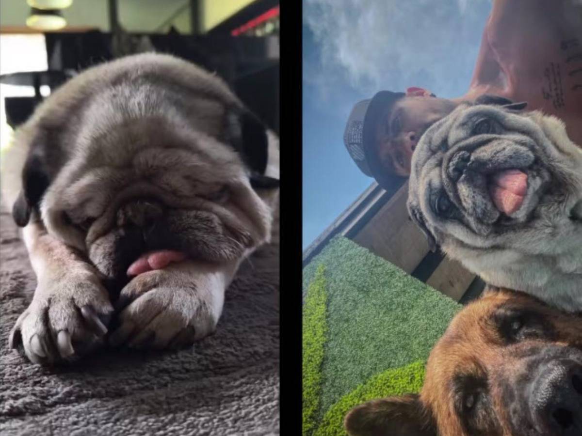 José Ron se despide con el corazón roto de Kiara