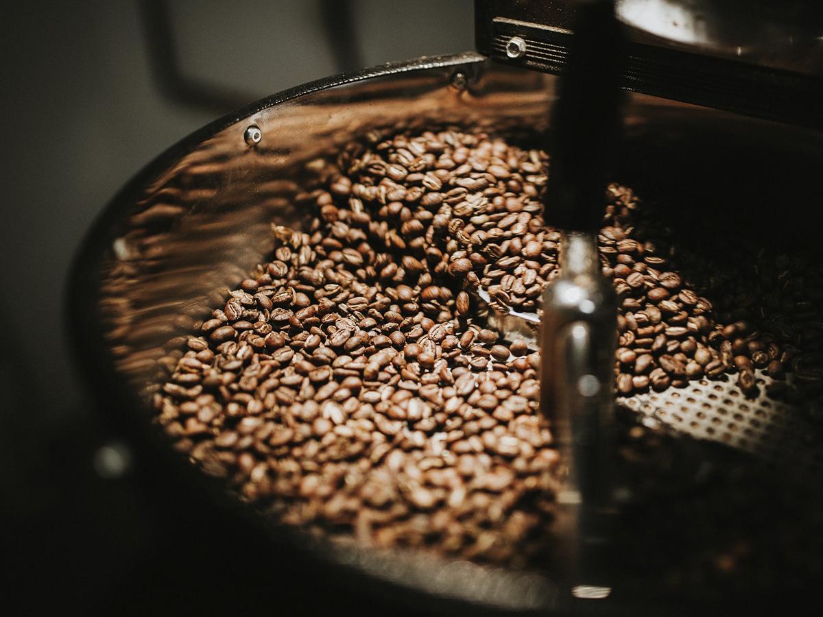 Finca Santa Isabel, café de tradición en las alturas de Copán