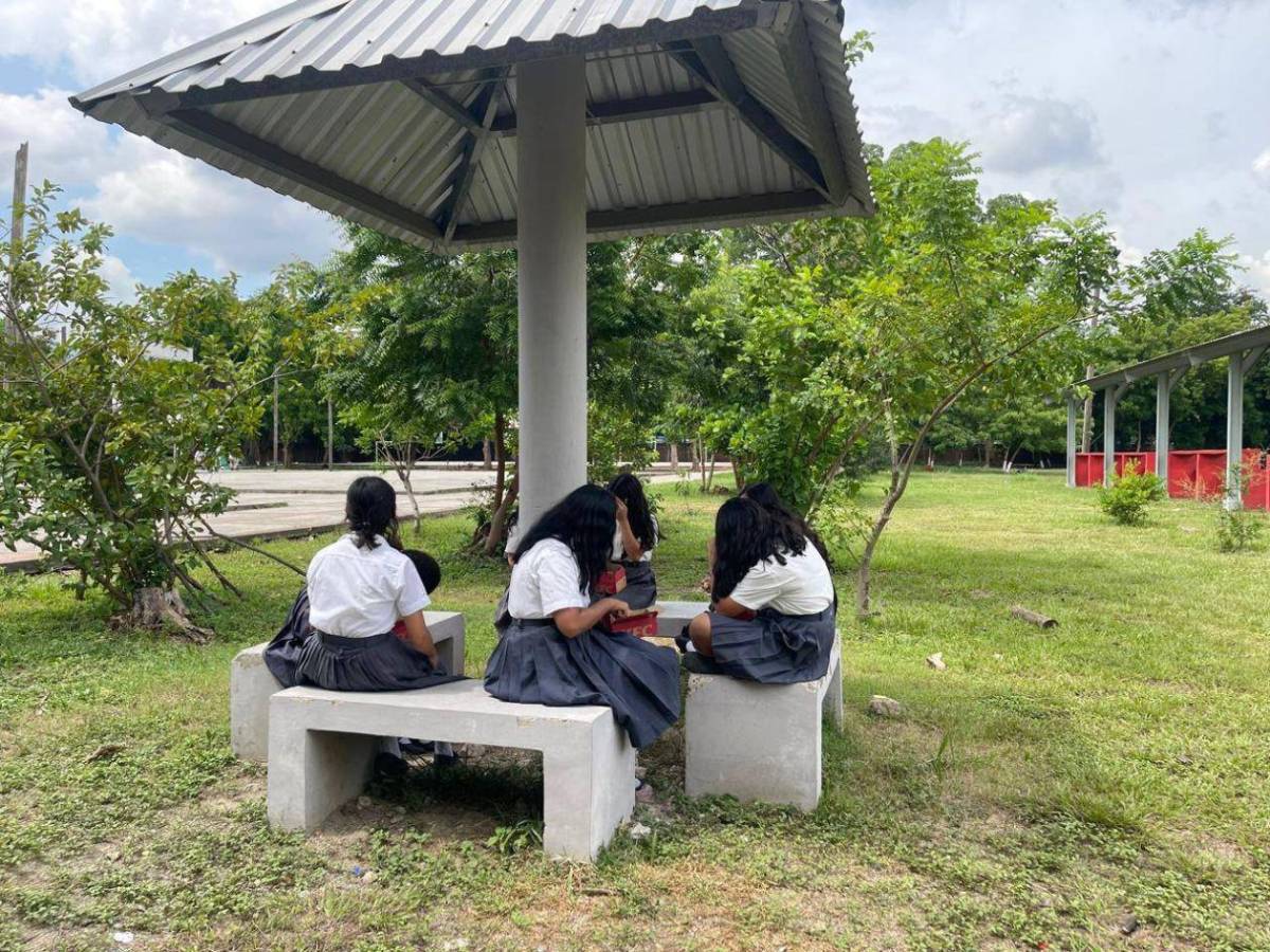 Estos son los requisitos de matrícula para alumnos de reingreso en el JTR