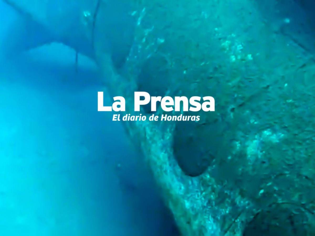 Fotos inéditas: restos del avión del vuelo LNH-018 hundido en Roatán