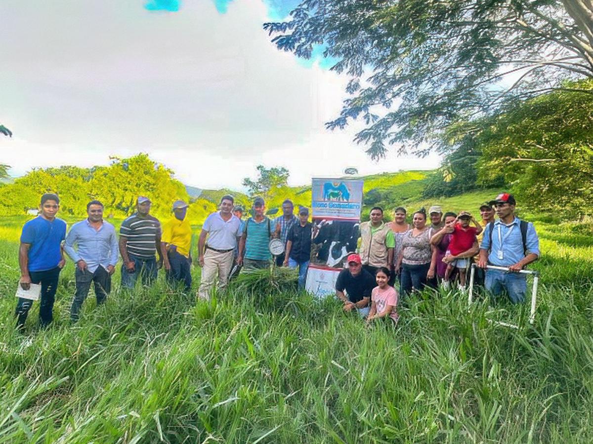 Escuelas ganaderas hondureñas para la seguridad alimentaria