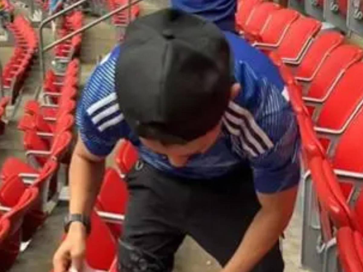 Locura de Brasil, llanto de Japón, burla de brasileño y lo que pasó con Shin Fujiyama
