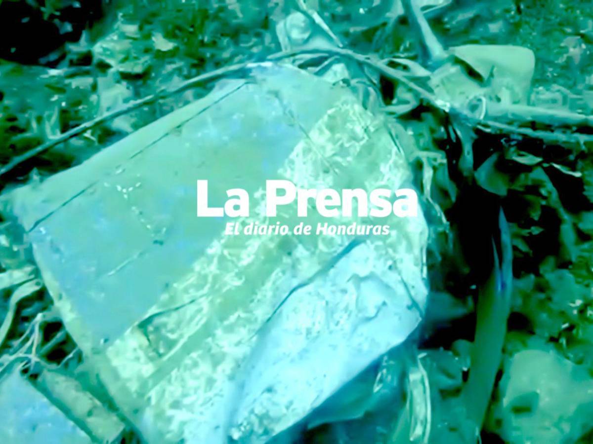 Fotos inéditas: restos del avión del vuelo LNH-018 hundido en Roatán