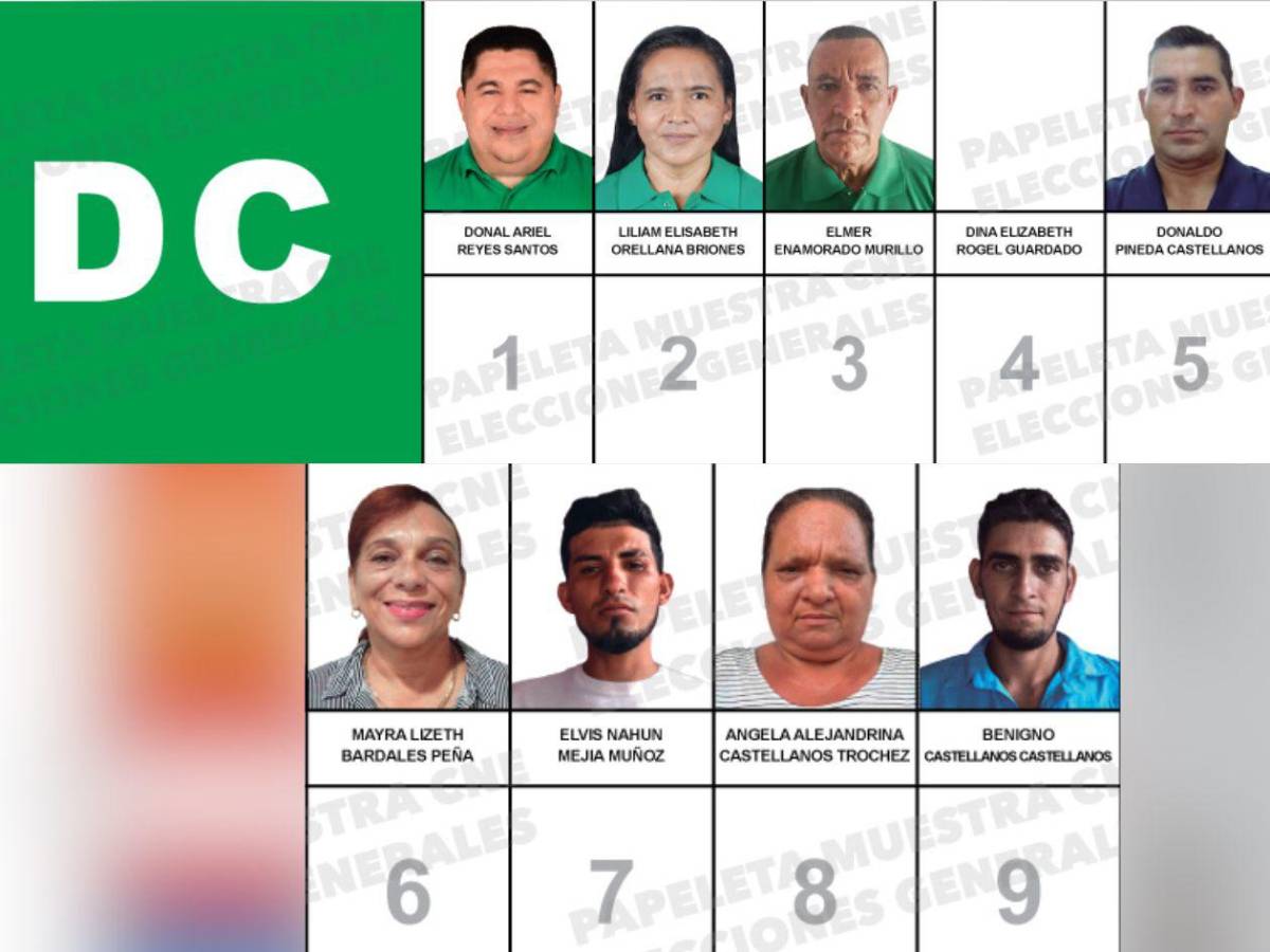 Abogados, docentes y un exárbitro buscan un curul en el Congreso Nacional