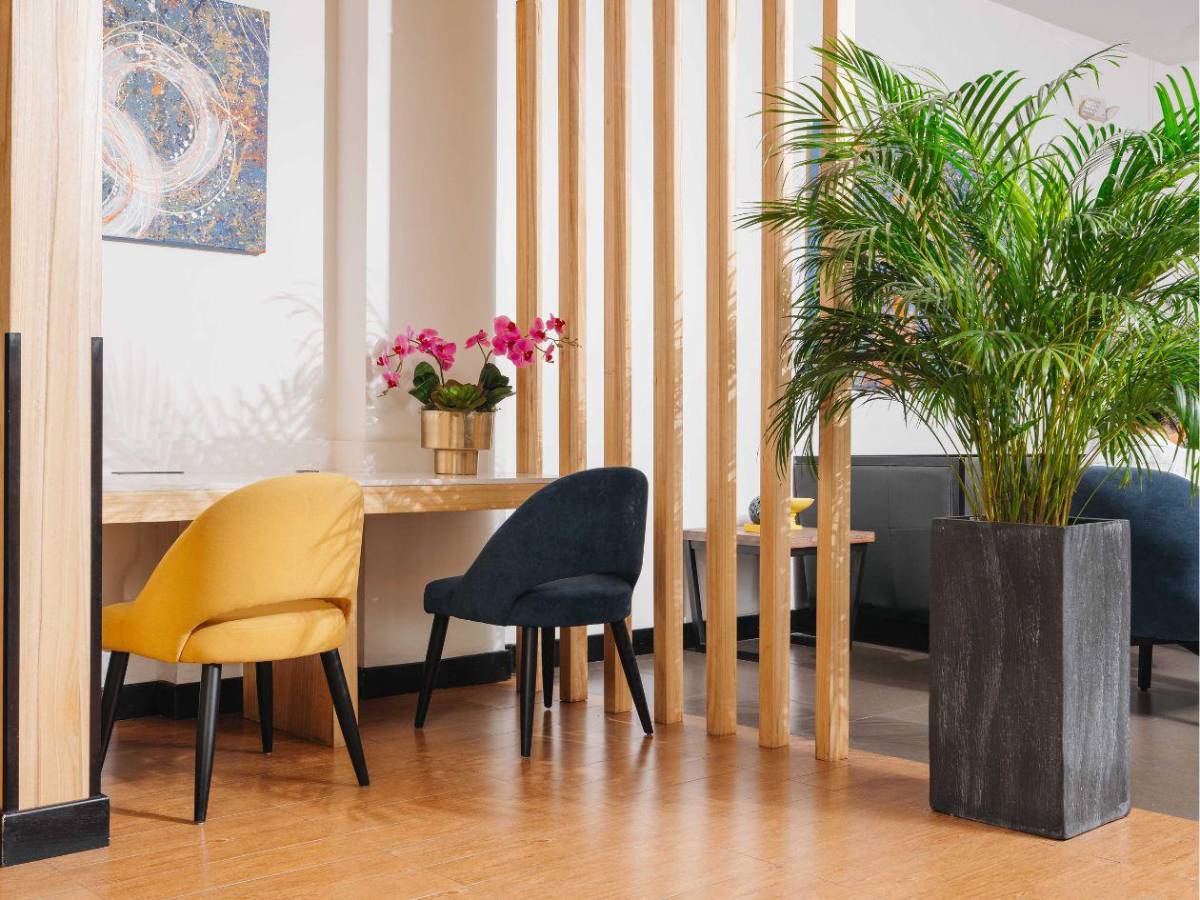 Holiday Inn Express Tegucigalpa estrena concepto Fórmula Blue 2.0