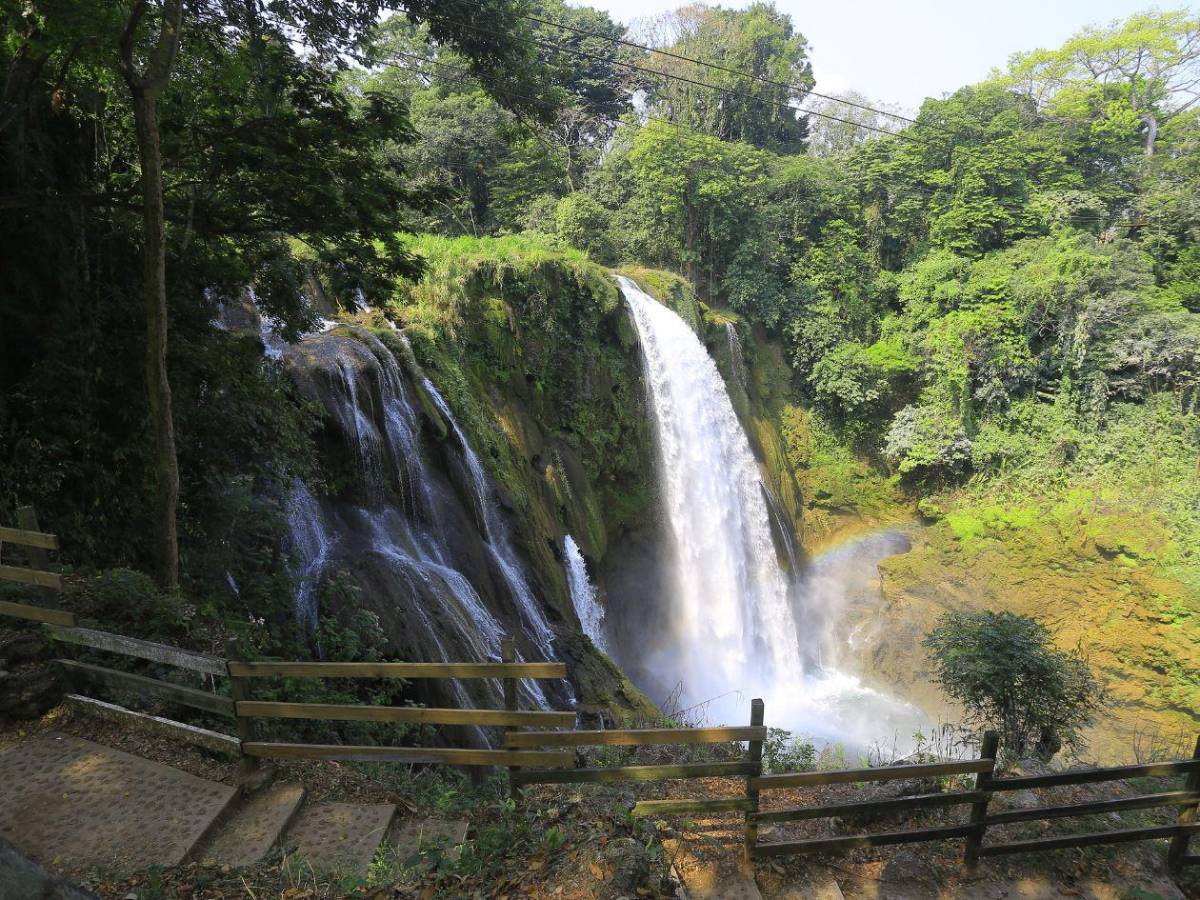 Explora las maravillas del Lago de Yojoa
