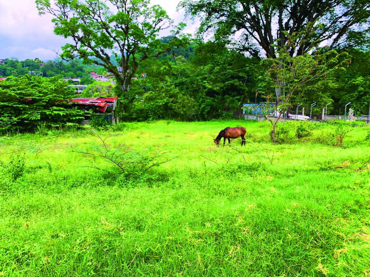 La municipalidad de Copán gestionó la construcción de un policlínico y se realizan giras de identificación de predios donde se podría instalar la edificación.