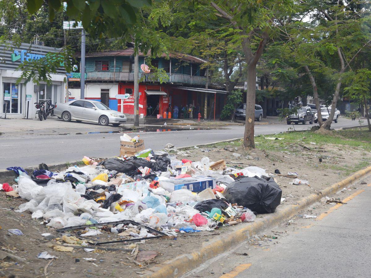 San Pedro Sula a las puertas de una emergencia ambiental por cantidad de basura en las calles