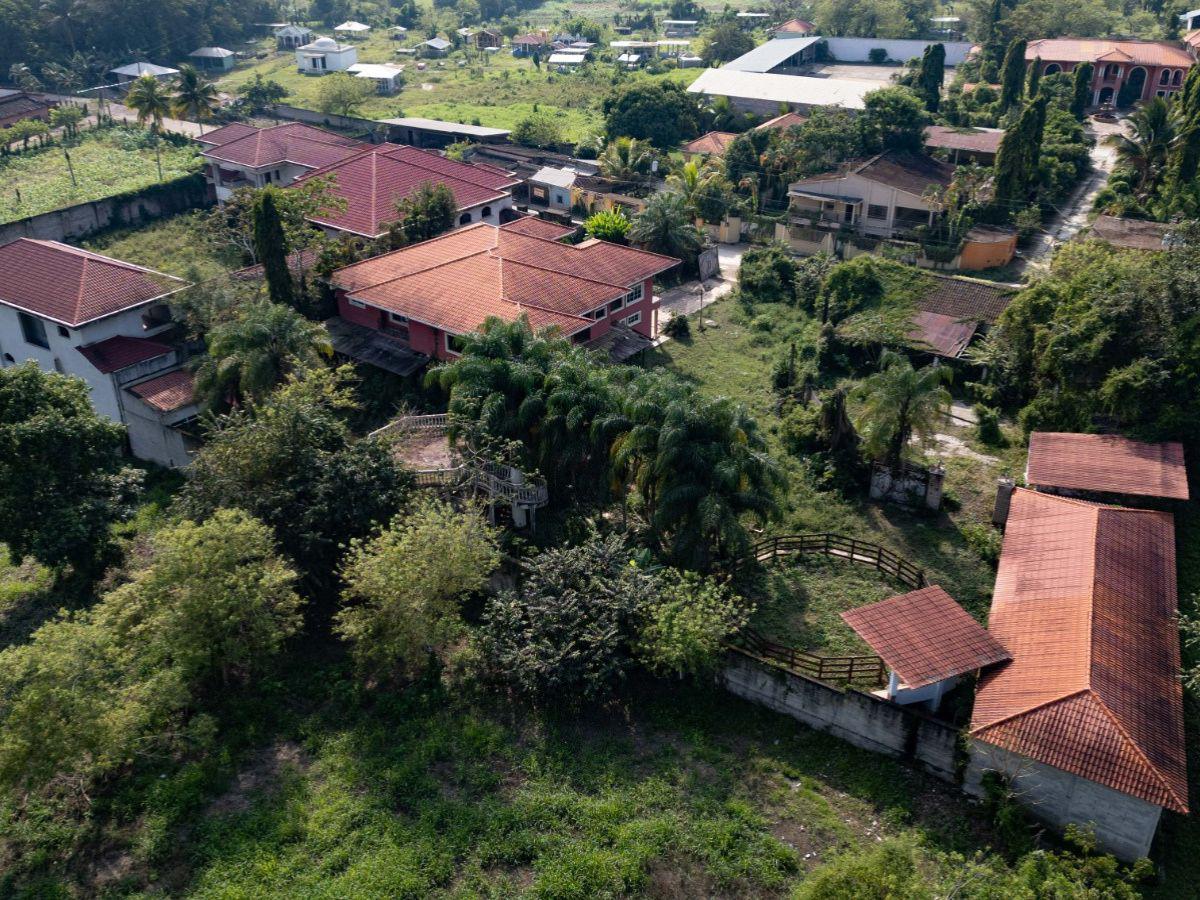 La maleza devora las mansiones de los Valle