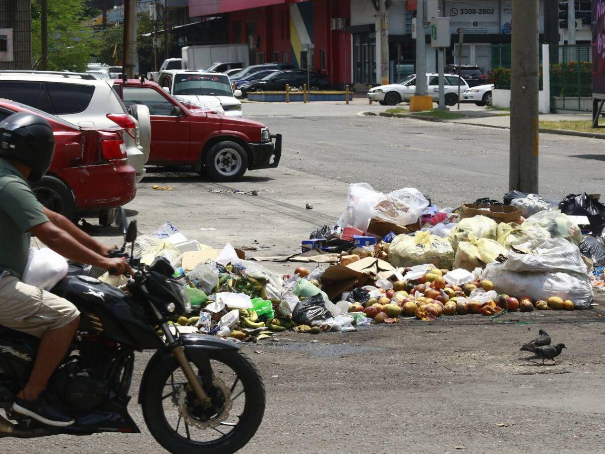 Basura “ahoga a San Pedro Sula, así lucen sus calles