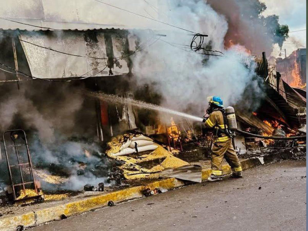 Fotos estremecedoras: estragos y pérdidas causadas por los feroces incendios en El Salvador