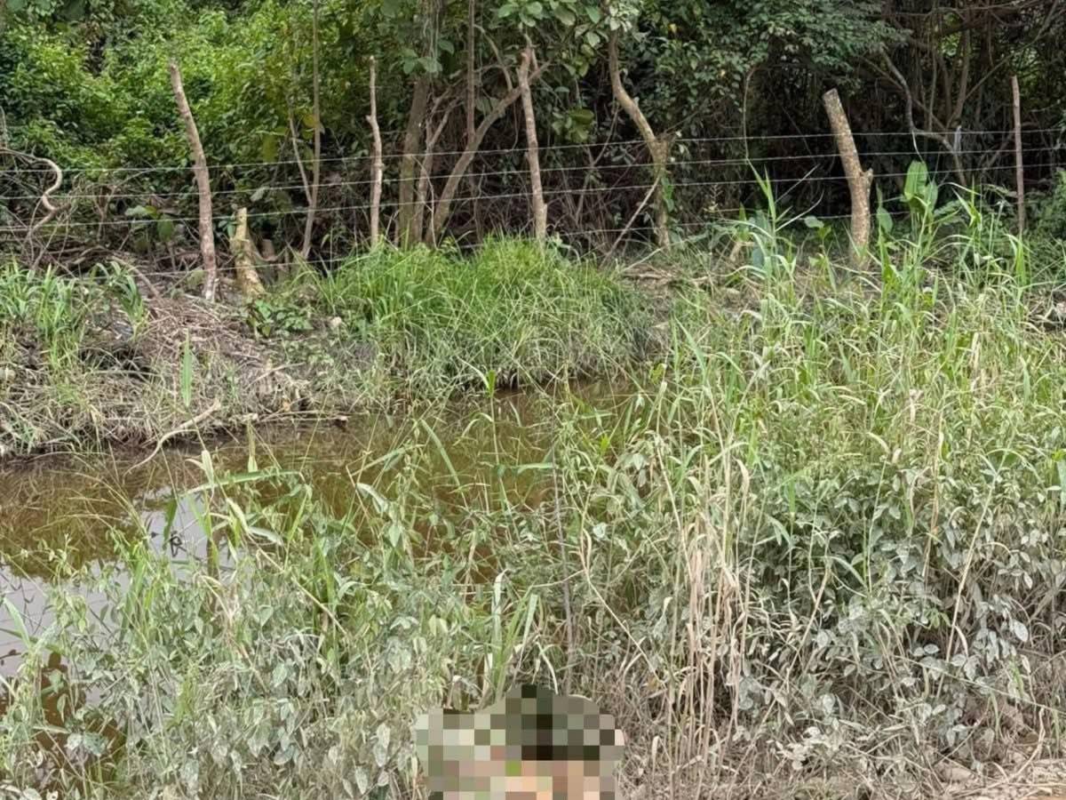 Sindy viajó con sus amigas a La Ceiba y fue asesinada con saña