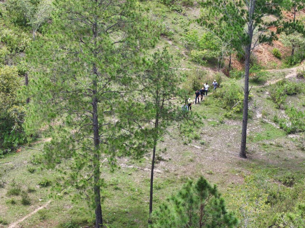 Hallan sin vida y en estado de descomposición a agricultor desaparecido en Olancho