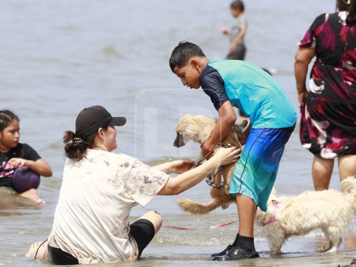 Así disfrutan los hondureños las bellas playas de Puerto Cortés durante el Feriado Morazánico