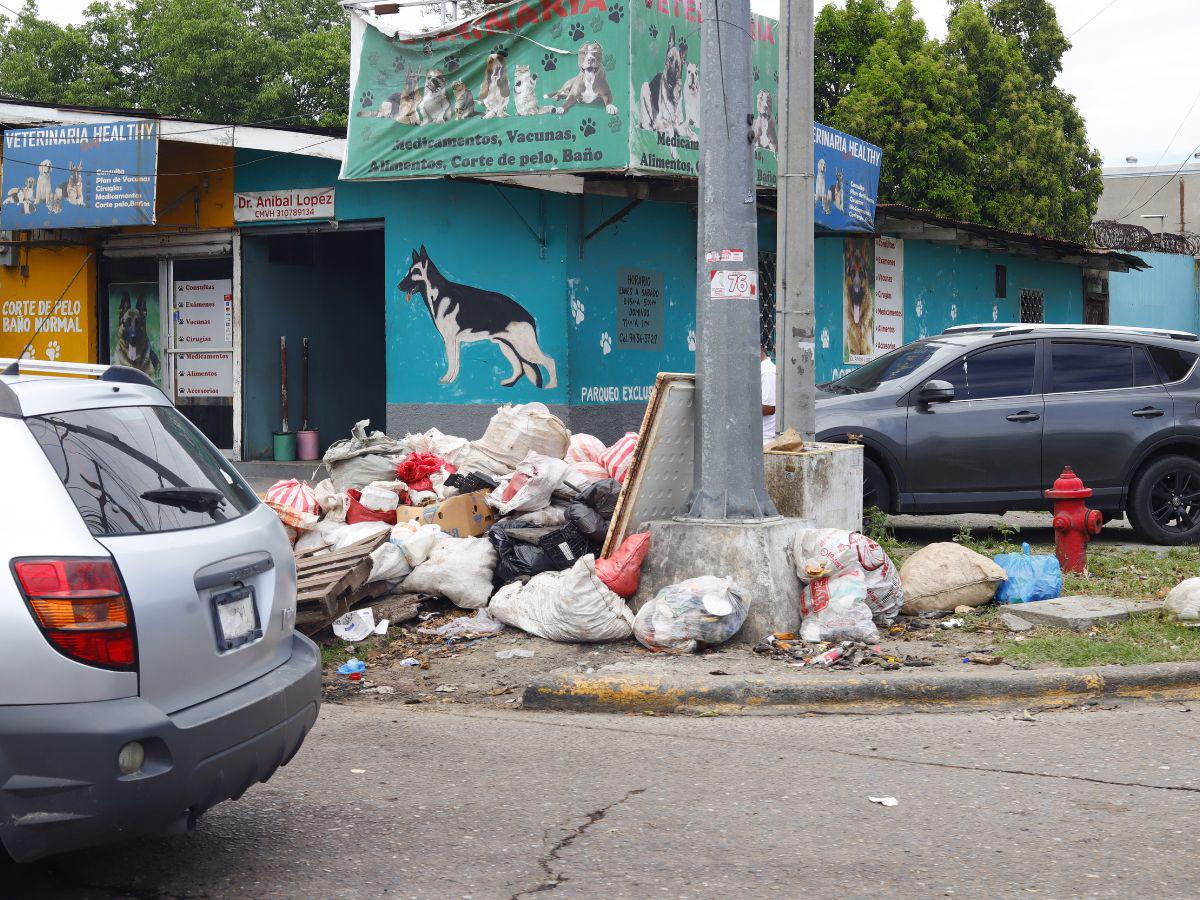 San Pedro Sula a las puertas de una emergencia ambiental por cantidad de basura en las calles