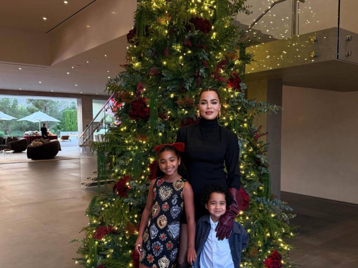 Así lucen los árboles navideños de los famosos