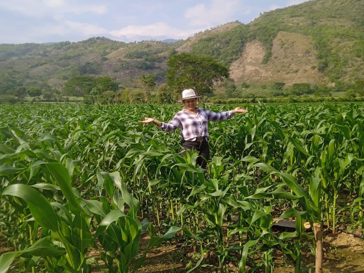 El “Crédito para Ellas” beneficia a mujeres en asociaciones agroproductivas.