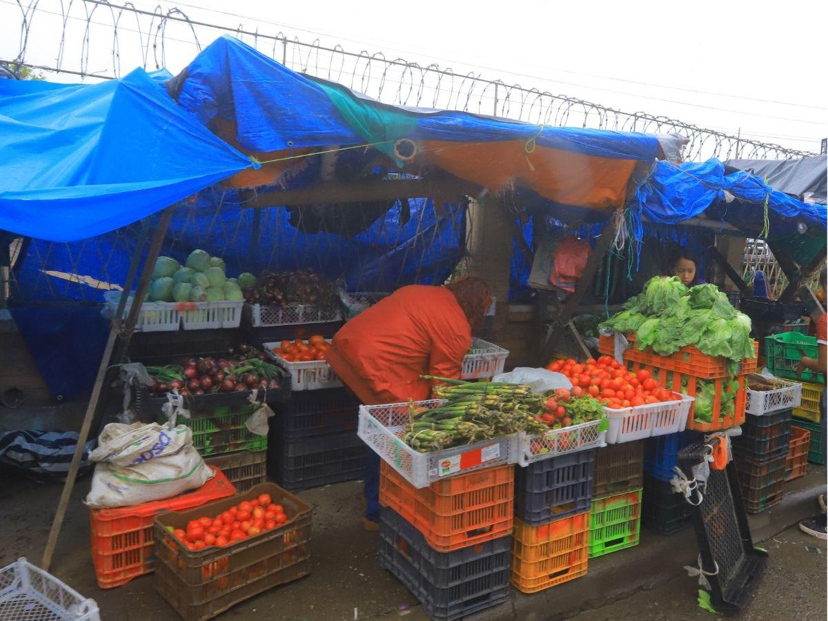 Siguatepeque crece con nuevas residenciales: viviendas desde L1.3 millones