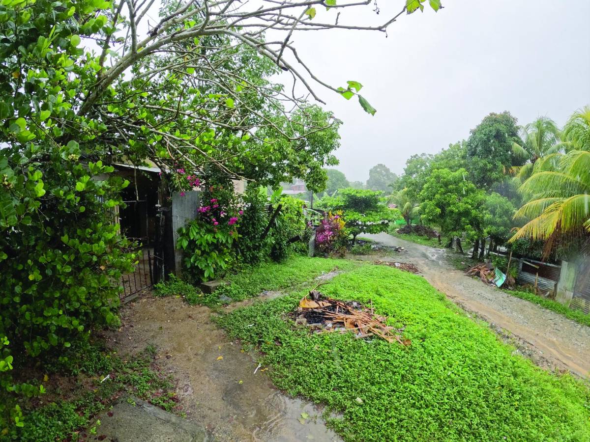 En una humilde vivienda de la colonia Terencio Sierra, en el municipio de Tela, una familia aún llora el crimen de Fabiana Marina Mateo Barahona, la joven asesinada el lunes 22 de enero en una calle solitaria de la colonia Valle de Sula, en San Pedro Sula. Ella pasó toda su niñez y adolescencia en la ciudad de Tela.