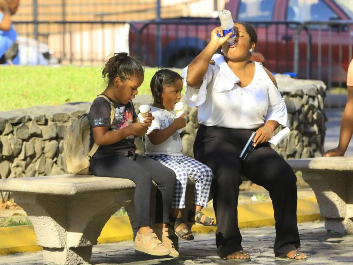 Recomendaciones clave para protección durante una ola de calor